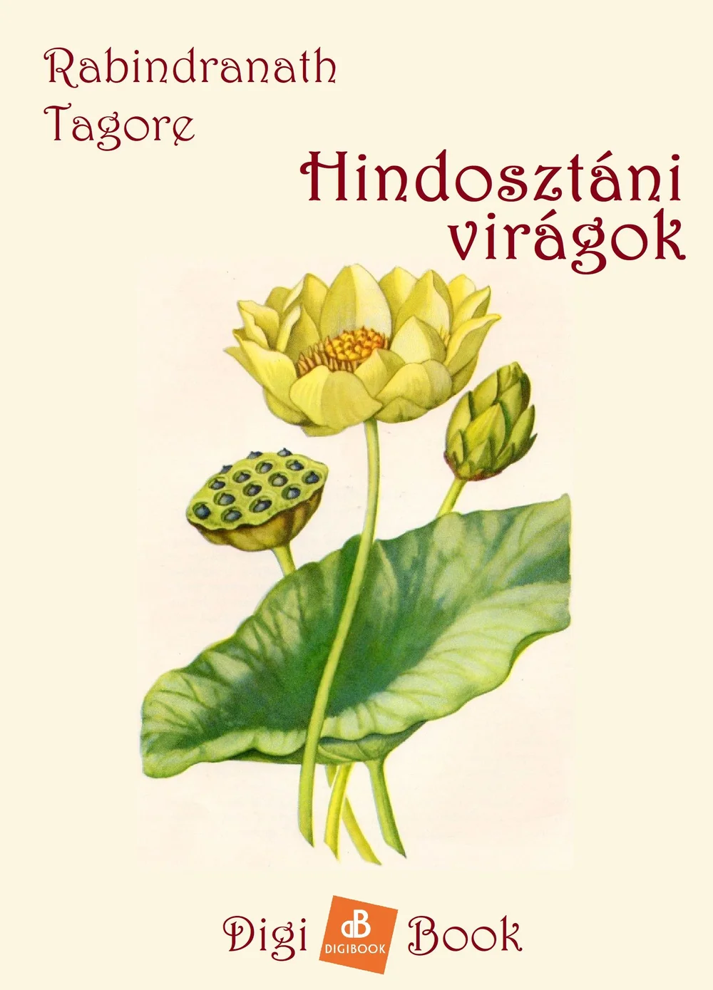 A hangoskönyv borítója