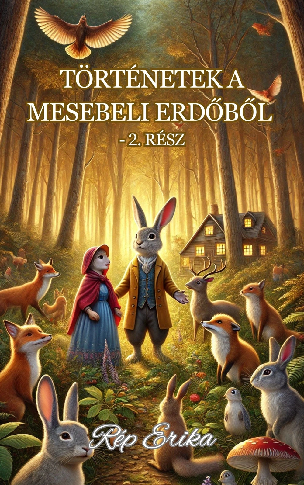 A hangoskönyv borítója