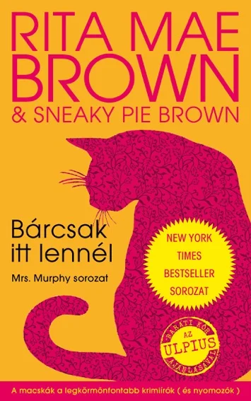 Bárcsak itt lennél - Hangoskönyv