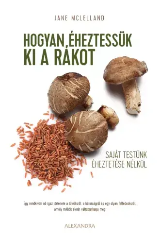 A hangoskönyv borítója