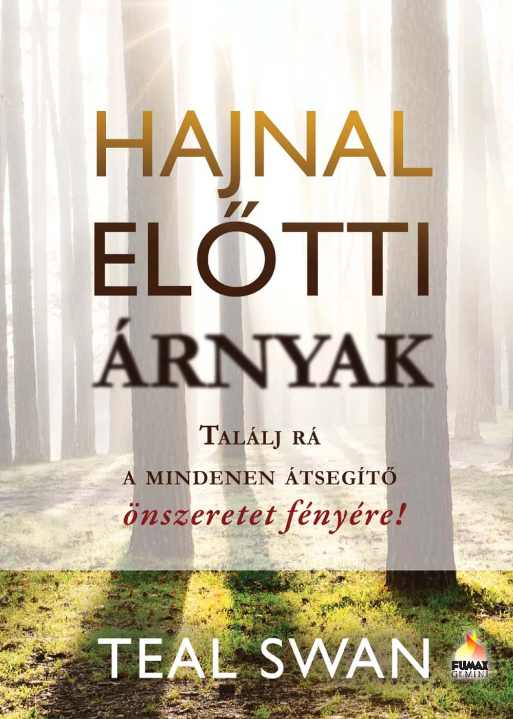 A hangoskönyv borítója