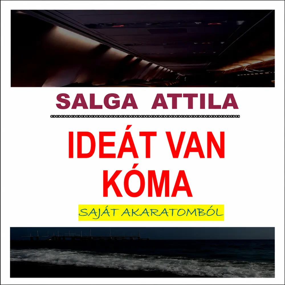 Ideát van kóma - Hangoskönyv