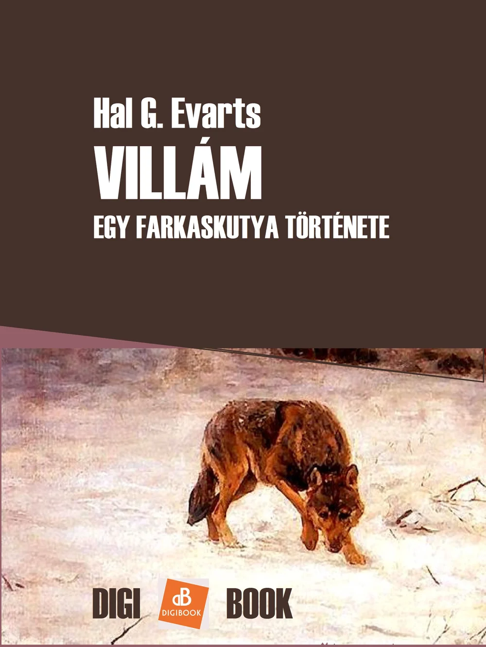 A hangoskönyv borítója