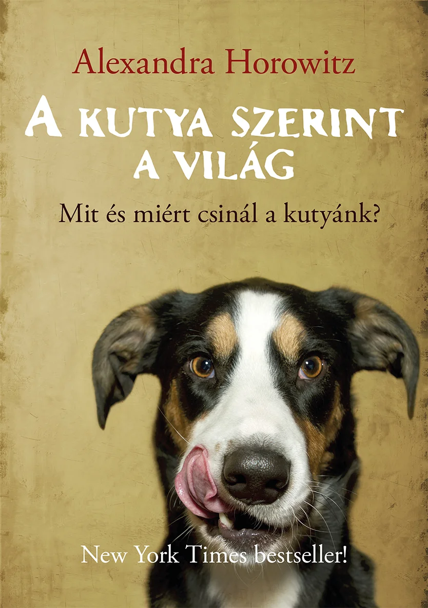 A kutya szerint a világ - Hangoskönyv