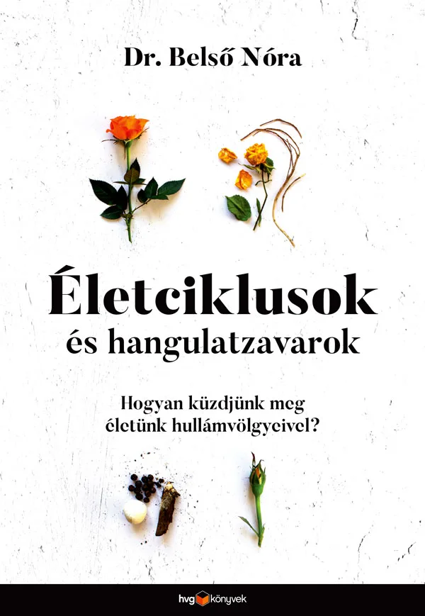A hangoskönyv borítója