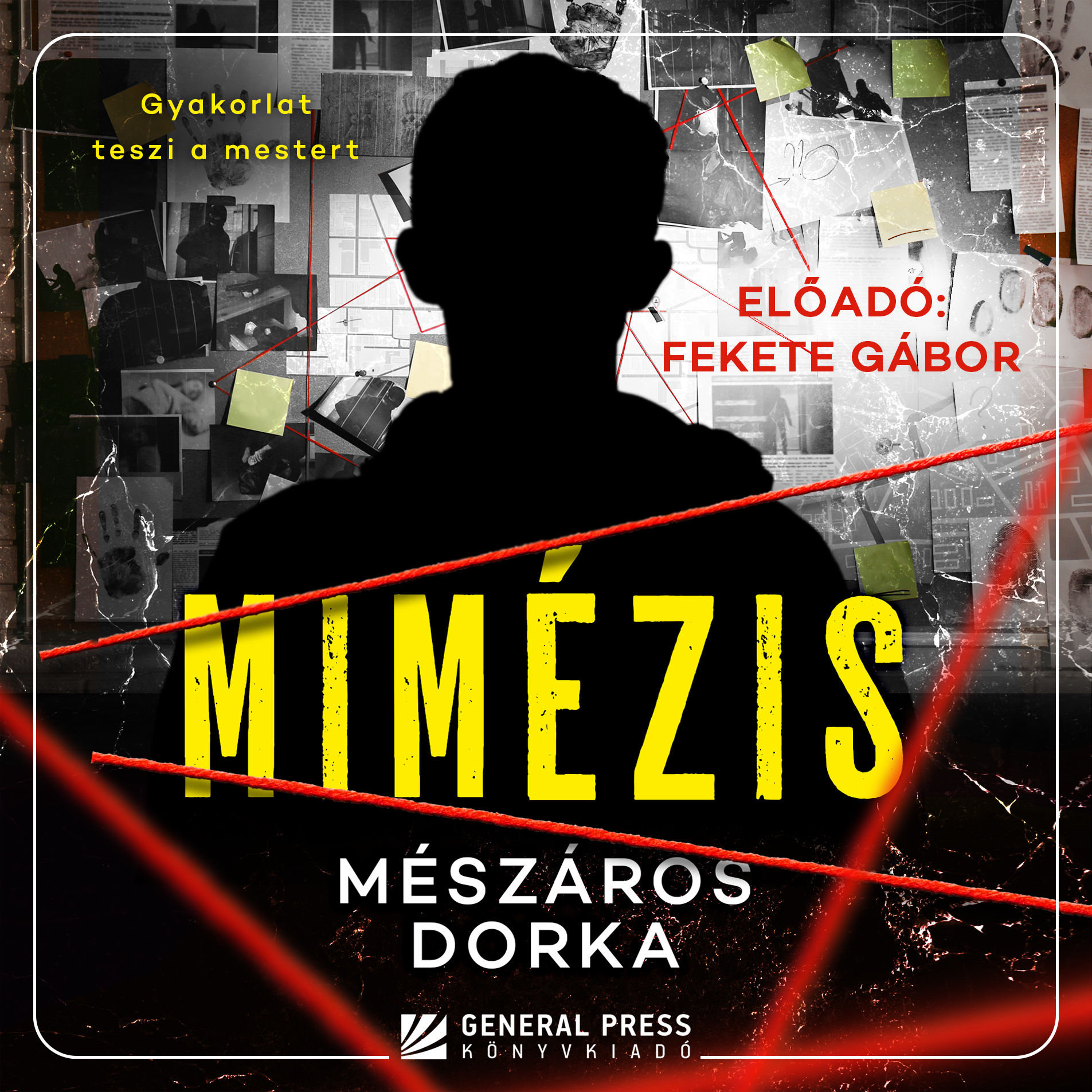 Mimézis könyv borító