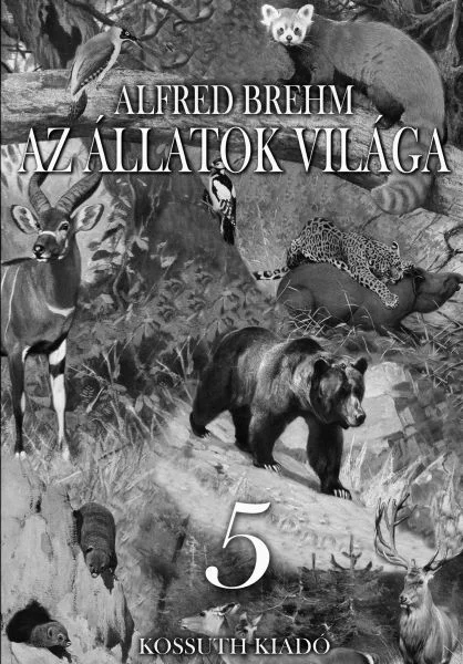 A hangoskönyv borítója