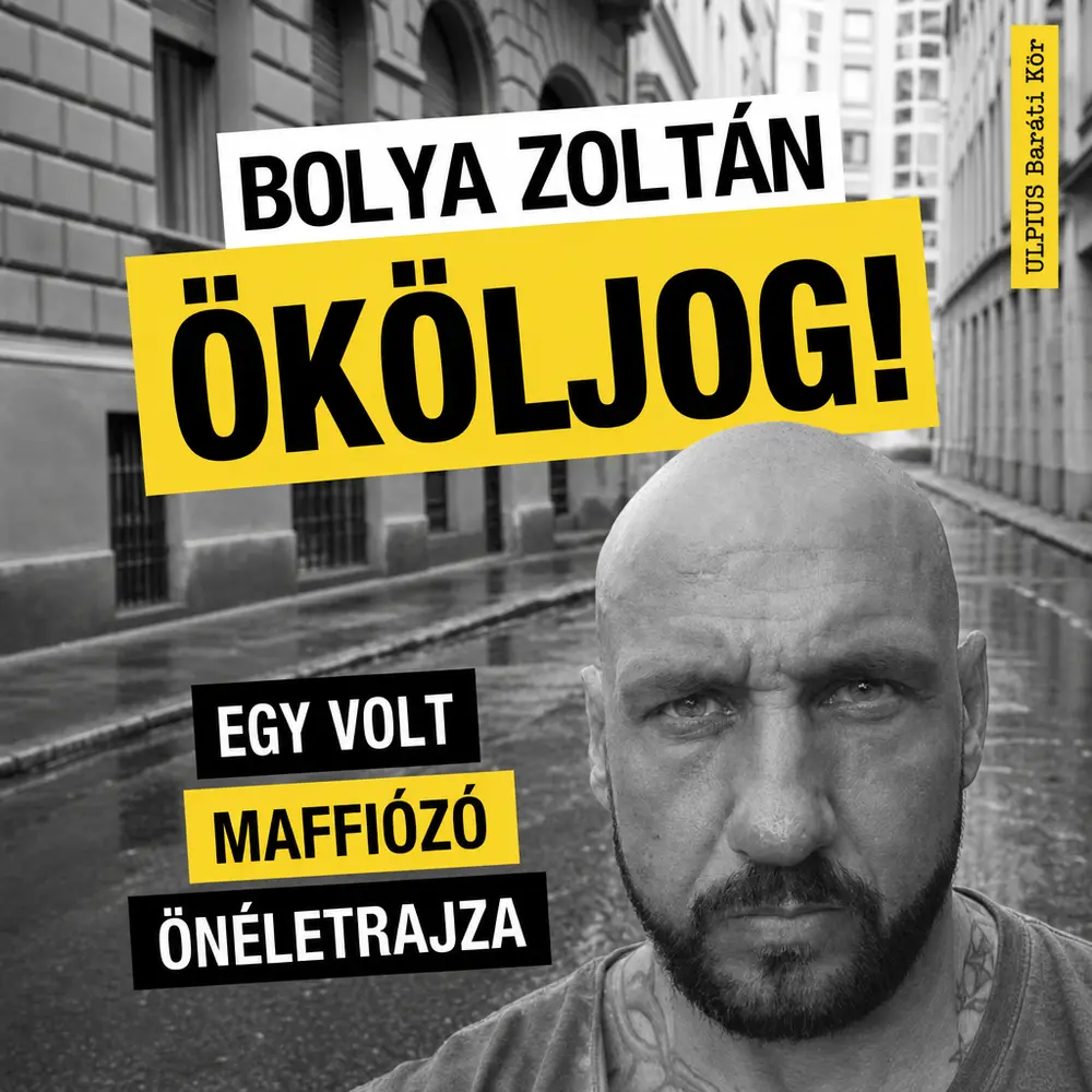 A hangoskönyv borítója