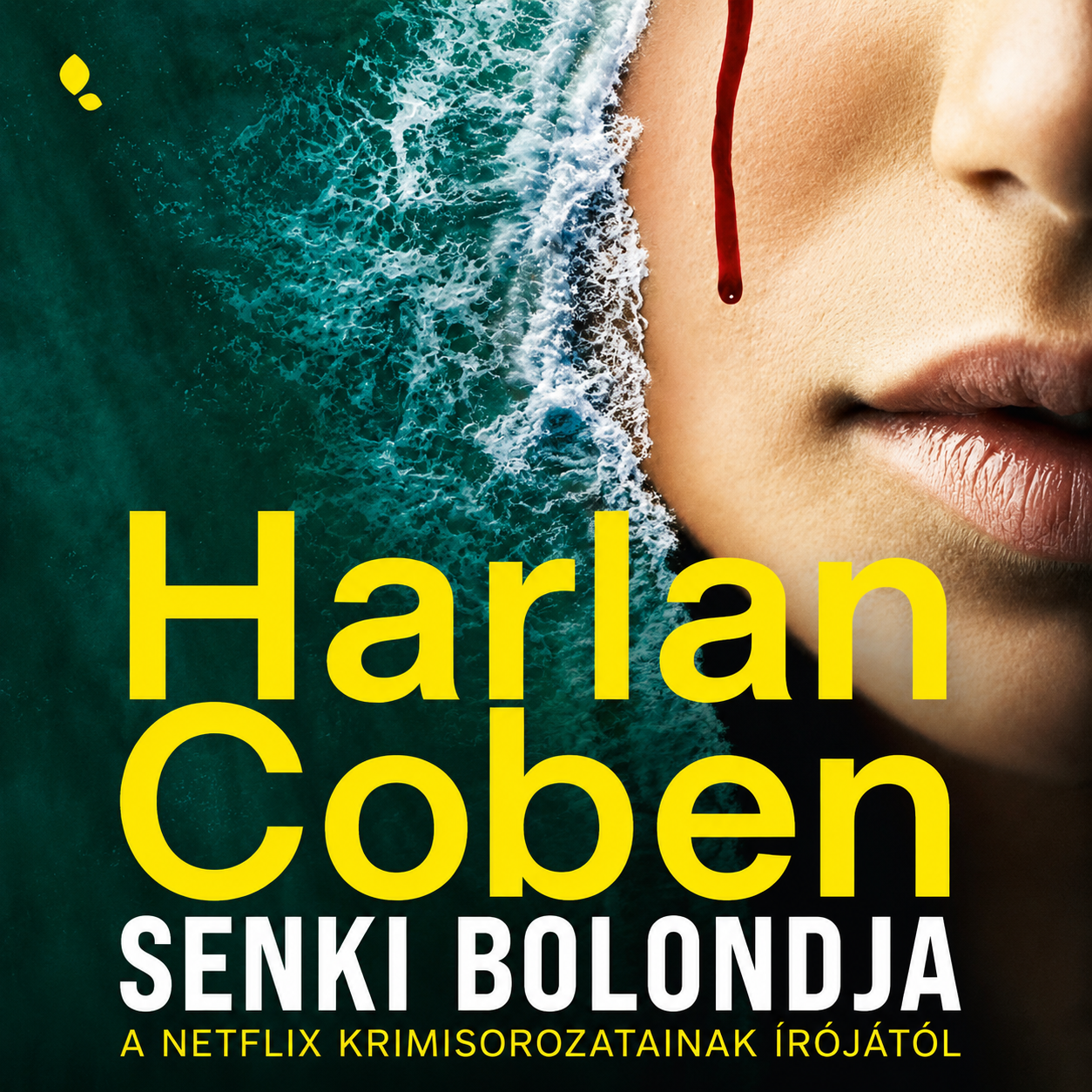Senki bolondja könyv borító