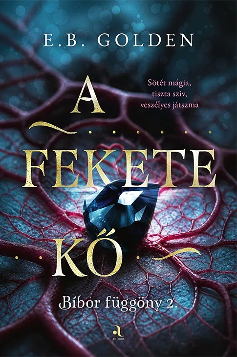 A fekete kő könyv borító