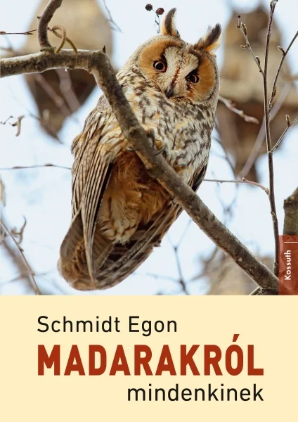 A hangoskönyv borítója