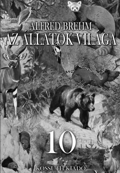 A hangoskönyv borítója