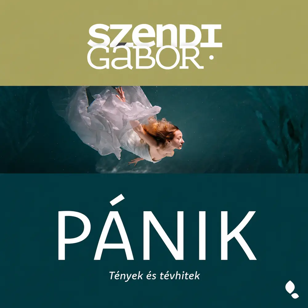 Pánik könyv borító
