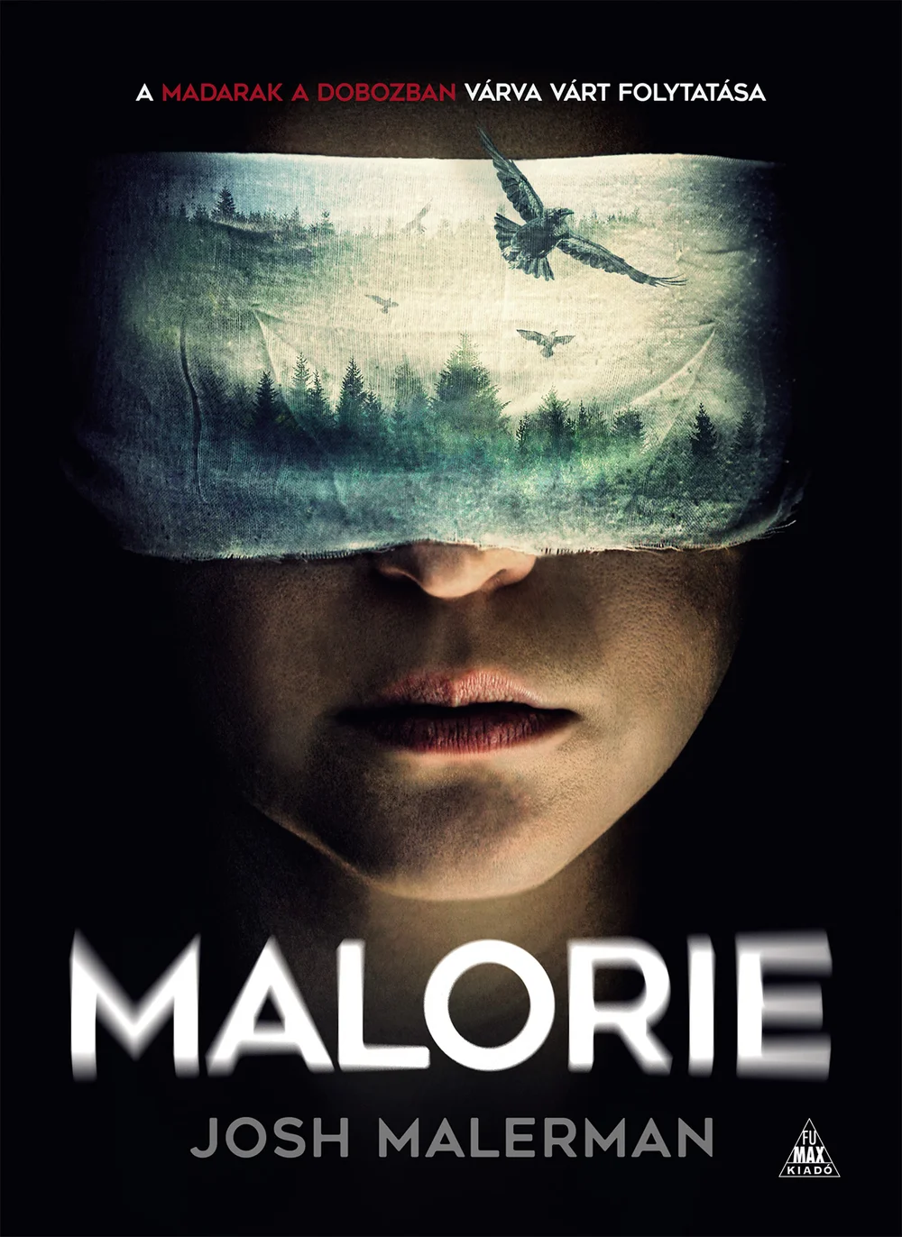 Malorie - Hangoskönyv