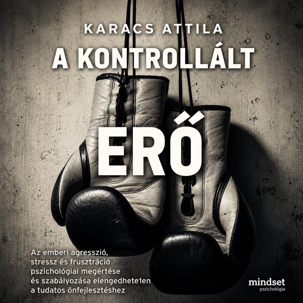 A hangoskönyv borítója