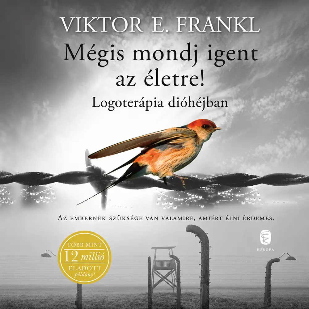 Mégis mondj igent az életre! könyv borító