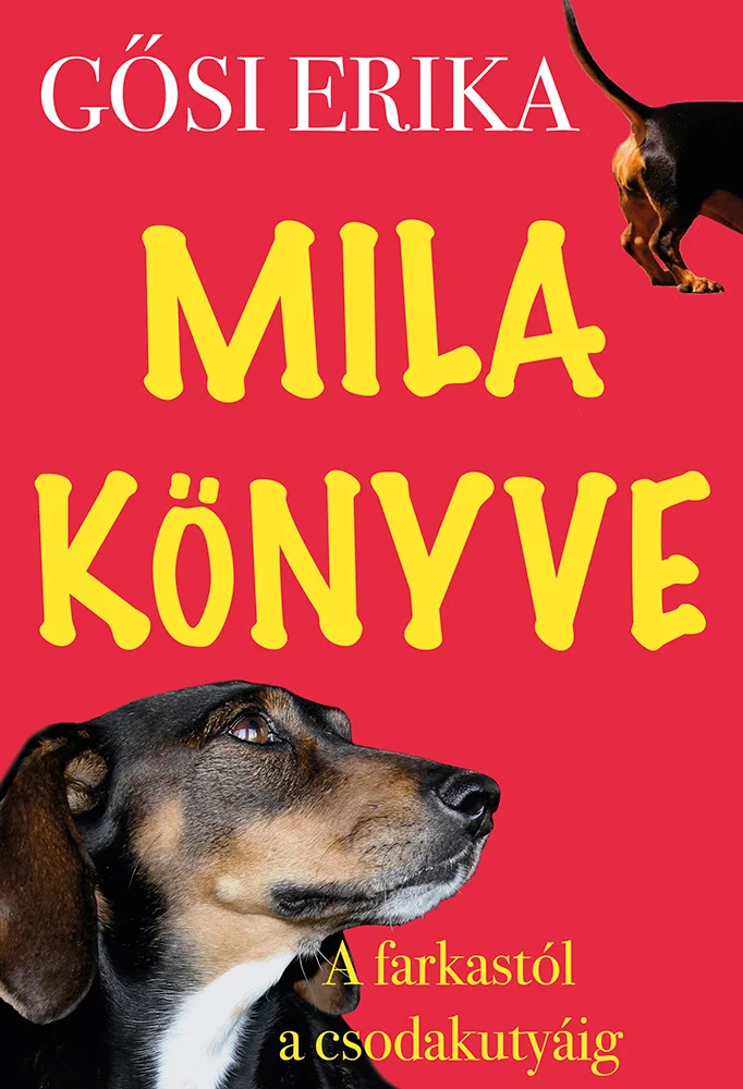 A hangoskönyv borítója