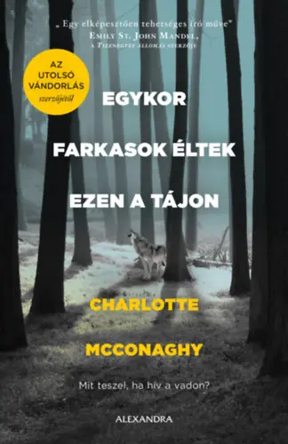 A hangoskönyv borítója
