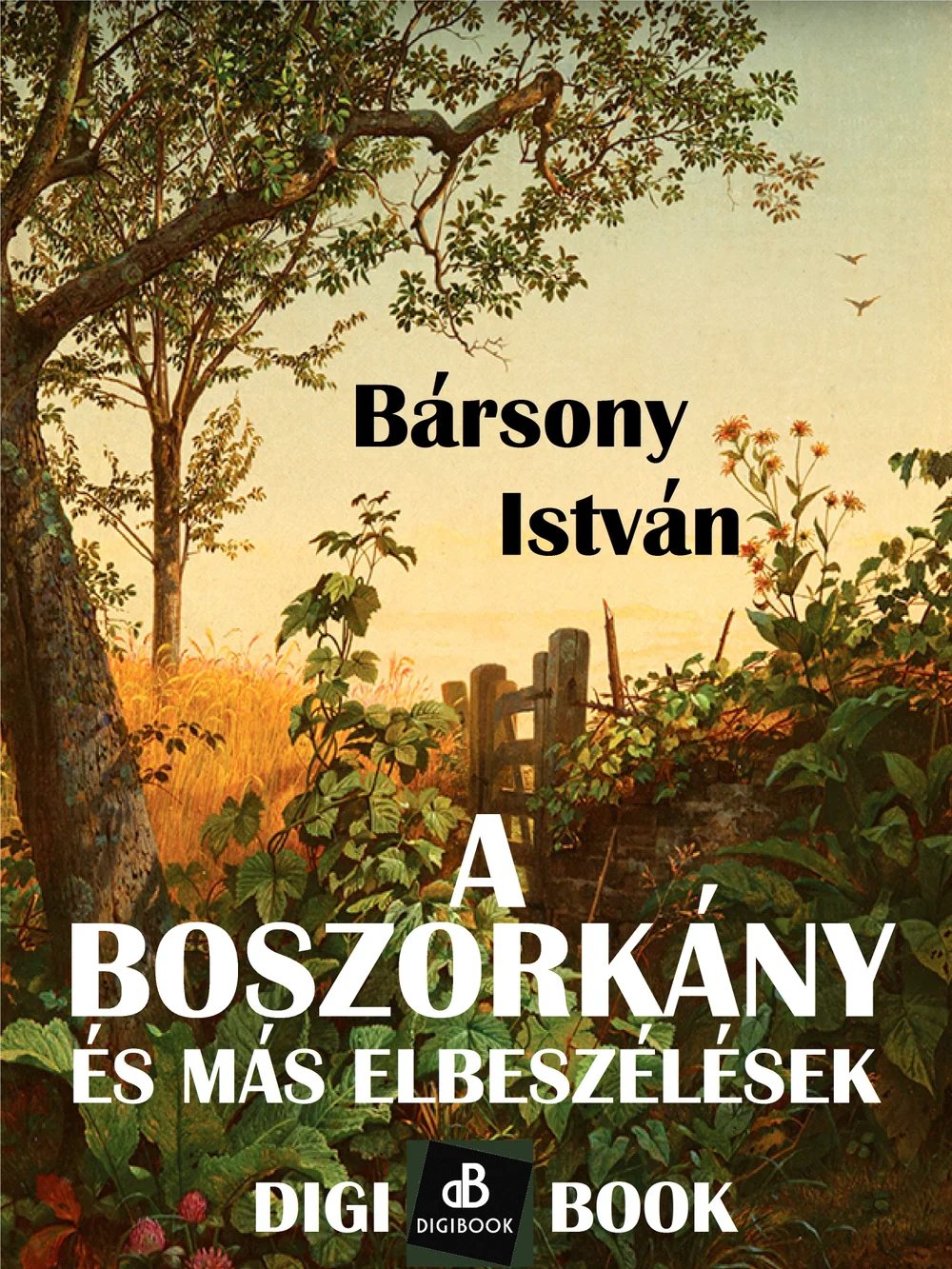 A hangoskönyv borítója