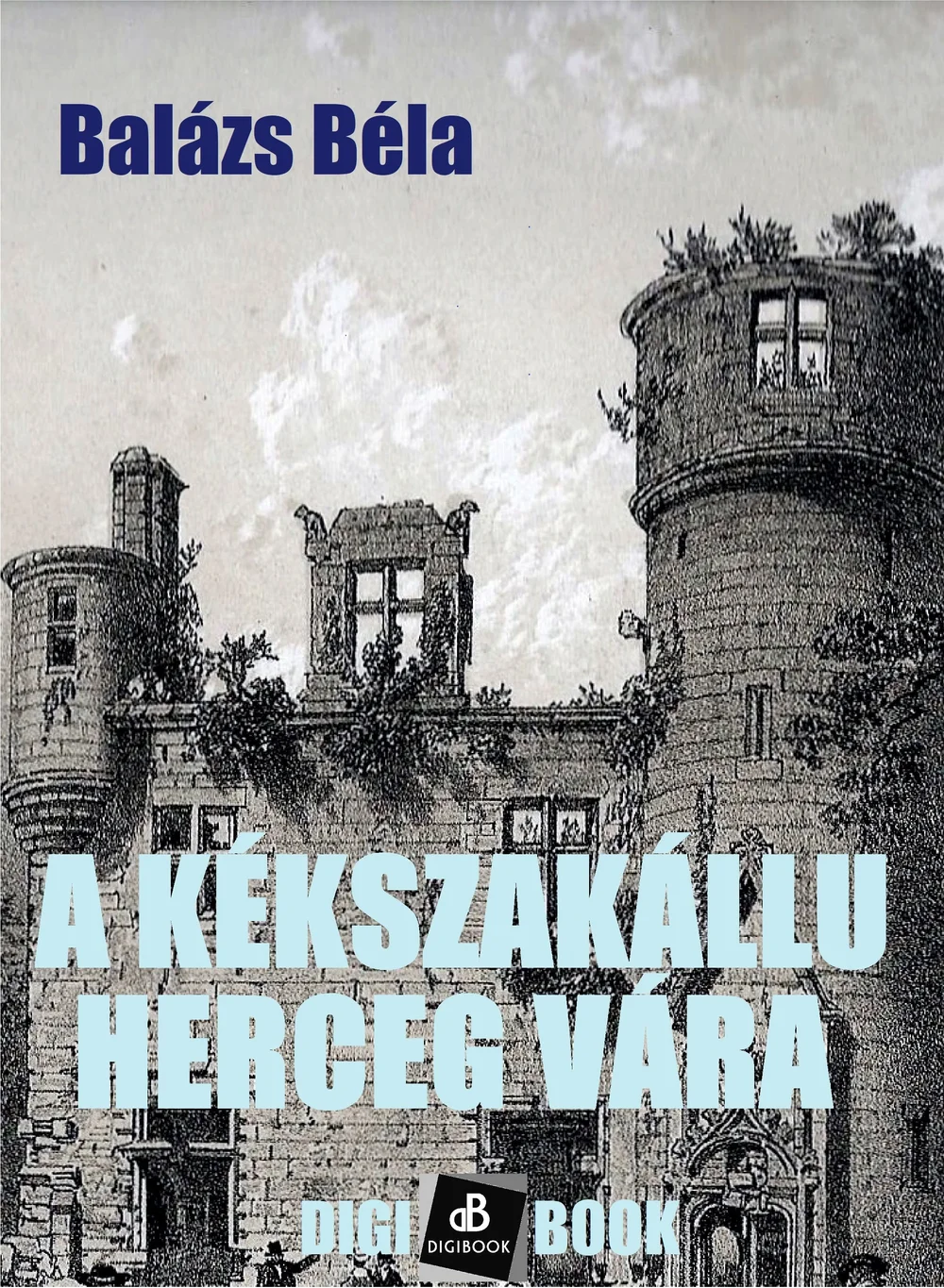 A hangoskönyv borítója