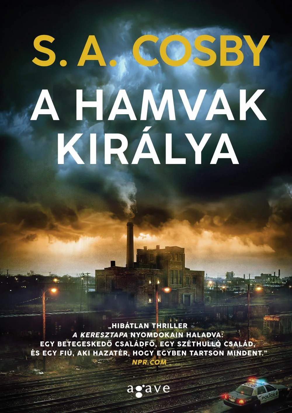 A hamvak királya könyv borító