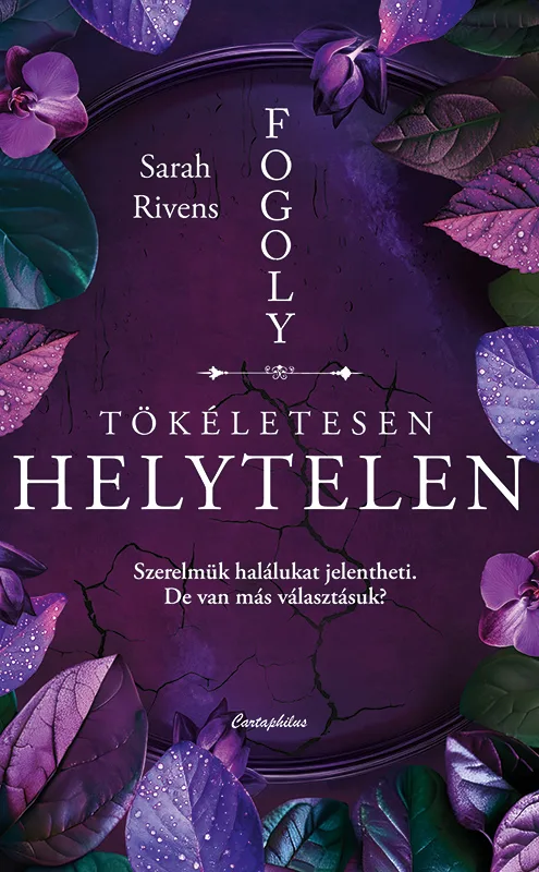 A hangoskönyv borítója