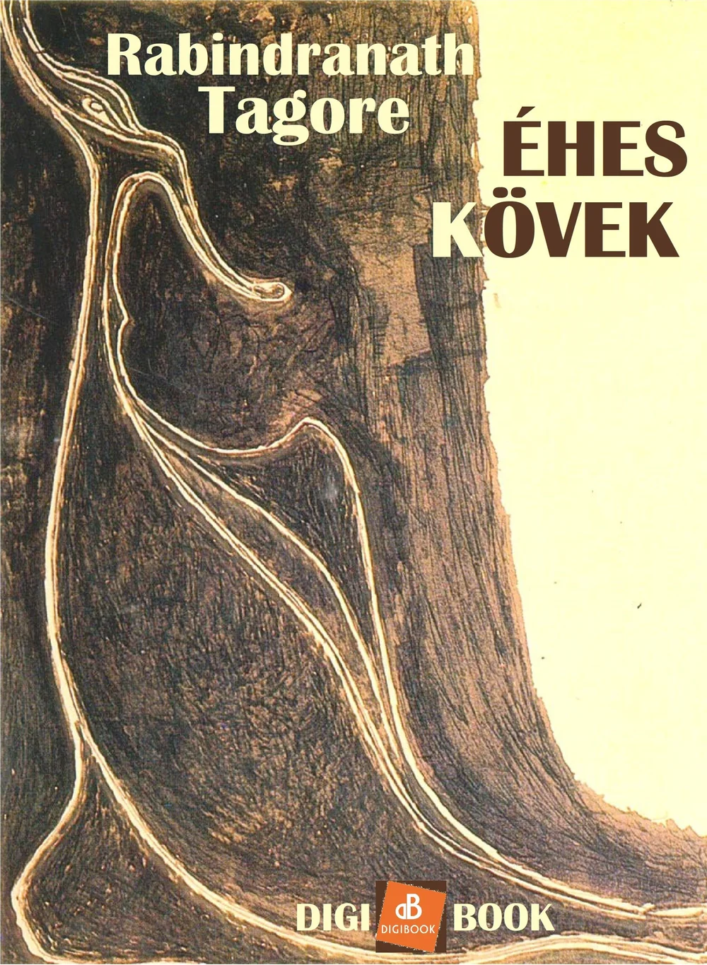 A hangoskönyv borítója