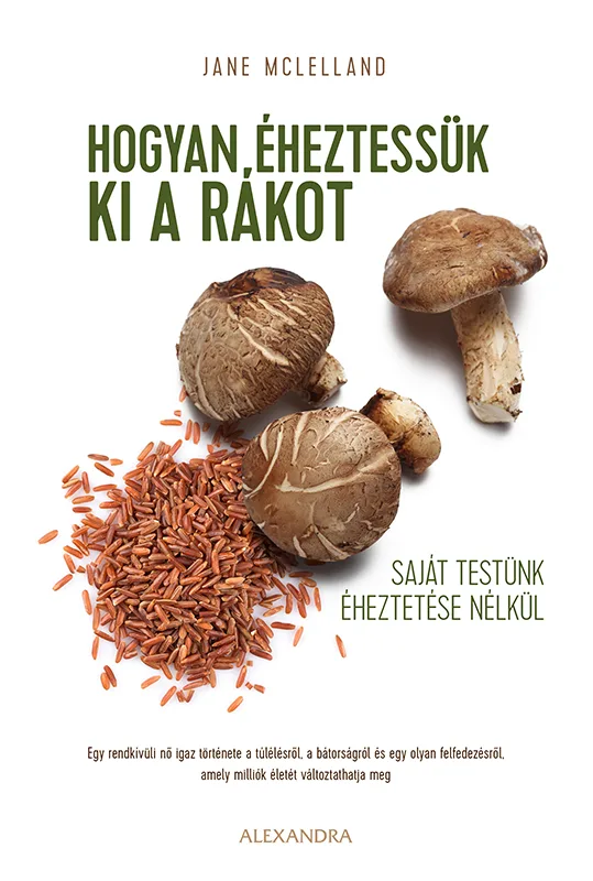 A hangoskönyv borítója