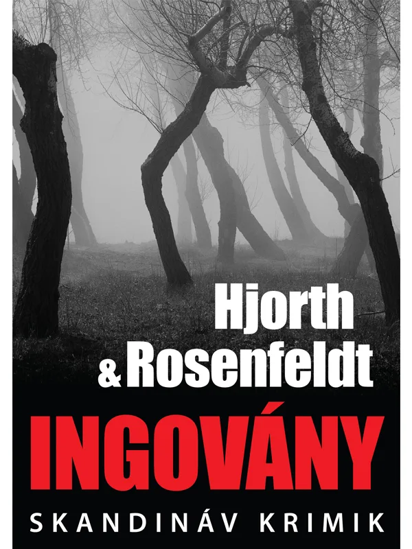 A hangoskönyv borítója