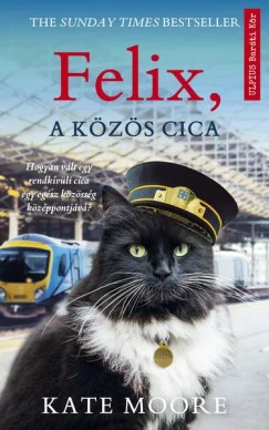 A hangoskönyv borítója