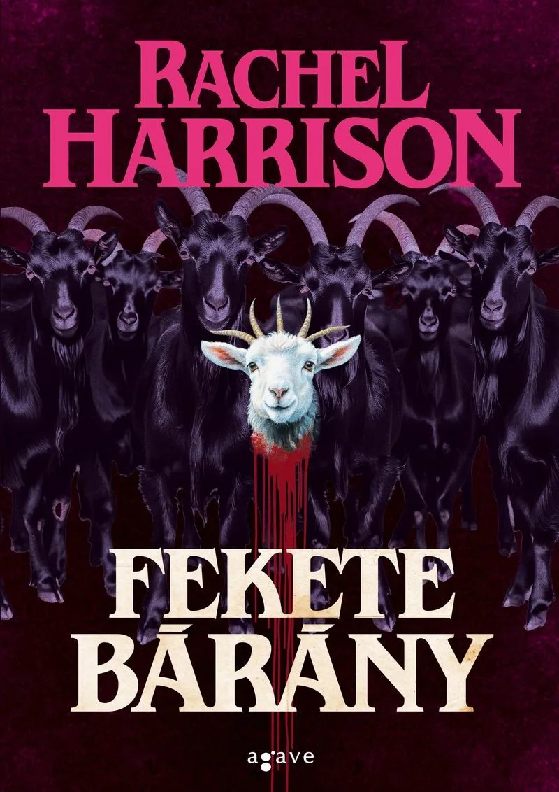 A hangoskönyv borítója
