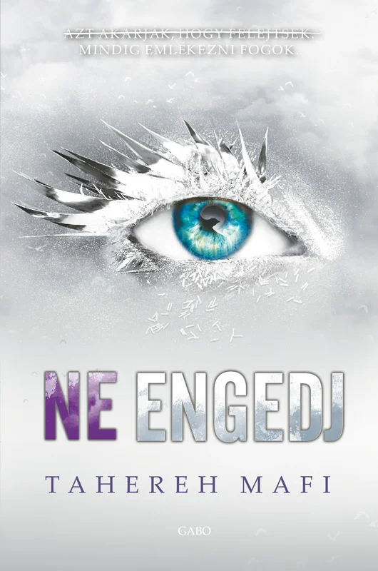 Ne engedj könyv borító