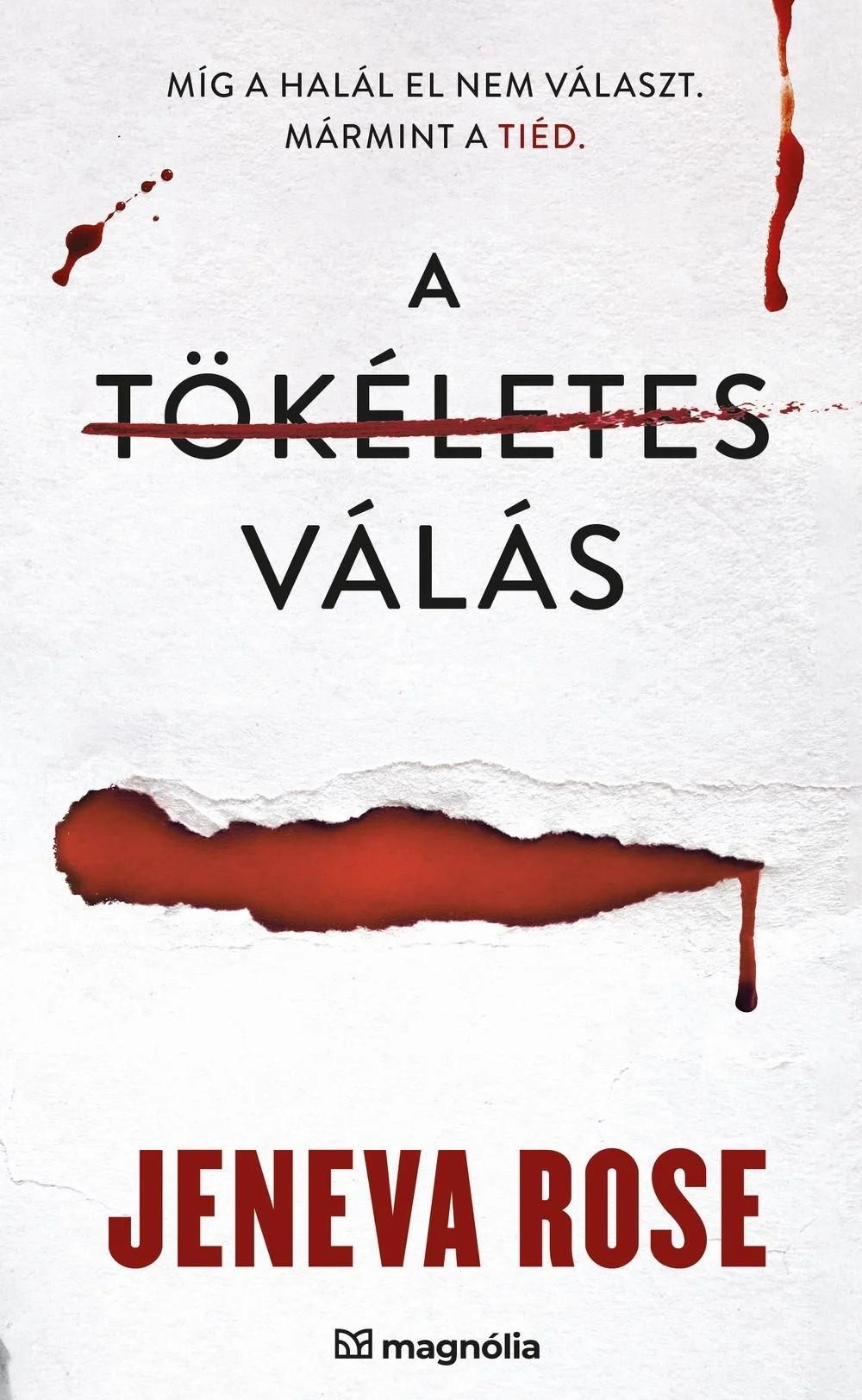 A hangoskönyv borítója
