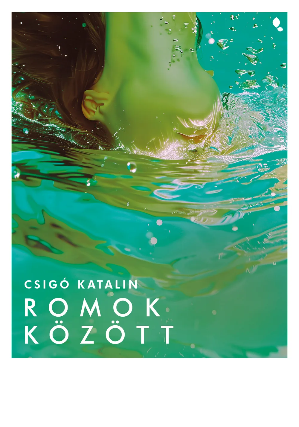 Romok között könyv borító