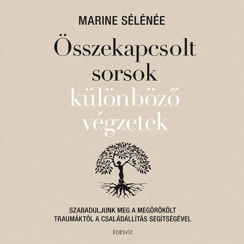 A hangoskönyv borítója