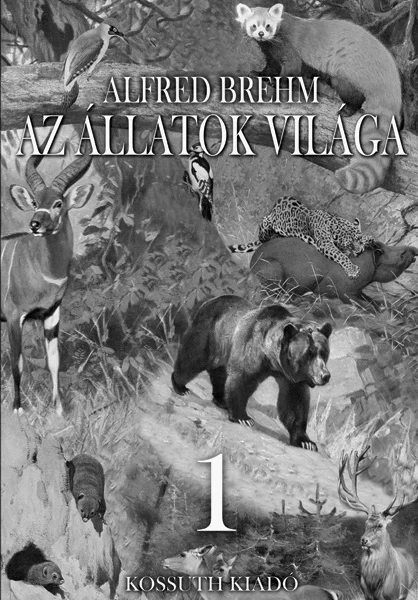 A hangoskönyv borítója