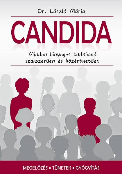 A hangoskönyv borítója