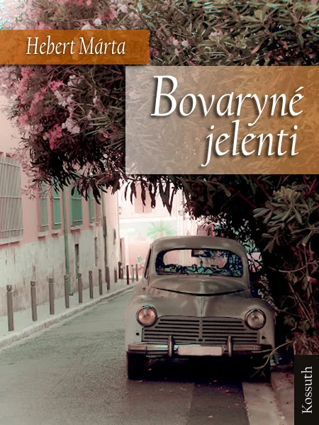 A hangoskönyv borítója