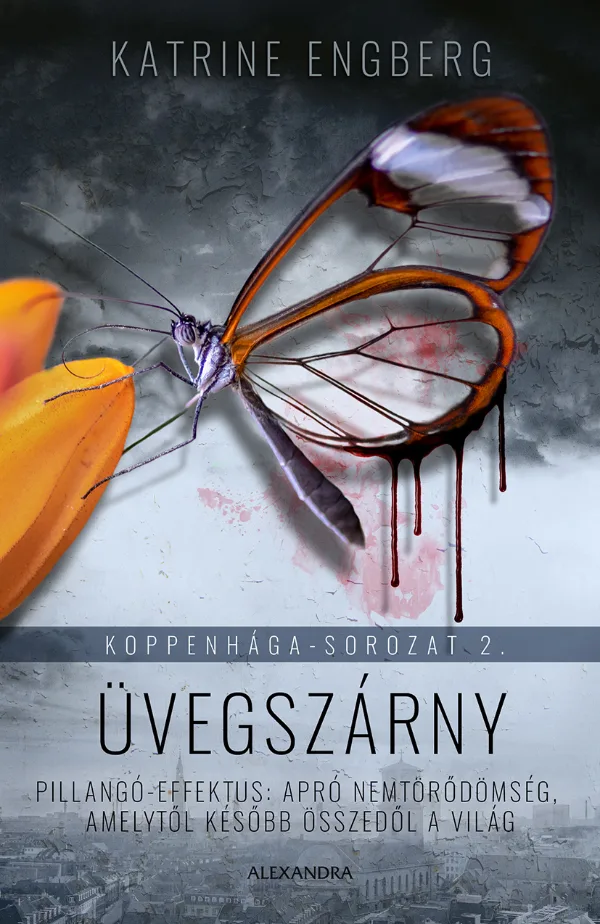 A hangoskönyv borítója