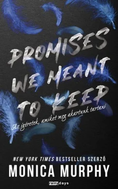 Promises We  Meant To Keep - Hangoskönyv