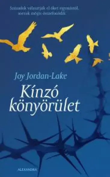 A hangoskönyv borítója