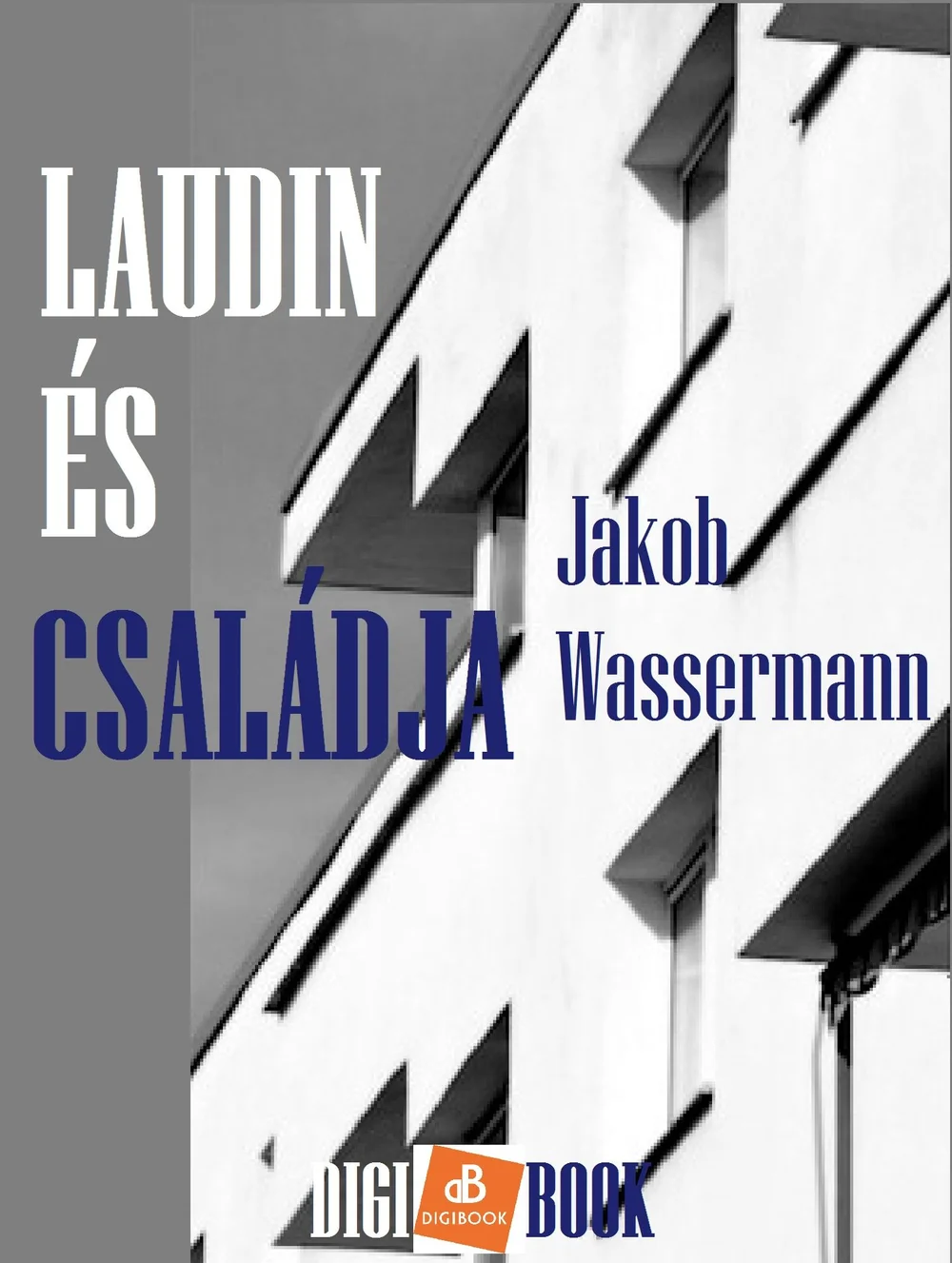 Laudin és családja könyv borító