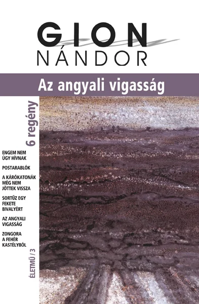 Az angyali vígasság - Hangoskönyv