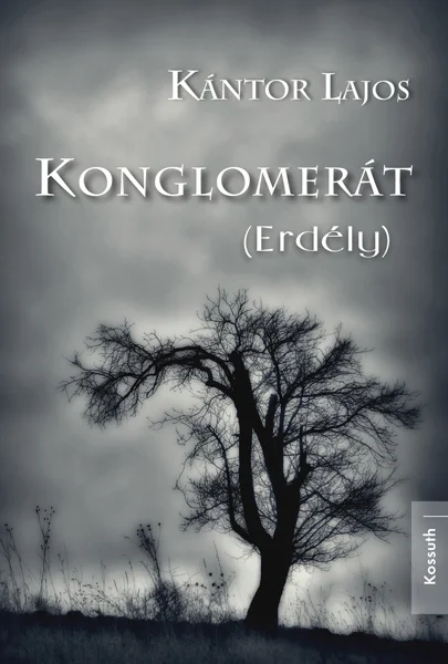 A hangoskönyv borítója
