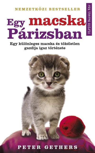 Egy macska Párizsban - Hangoskönyv