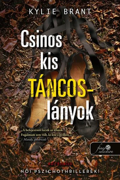 A hangoskönyv borítója