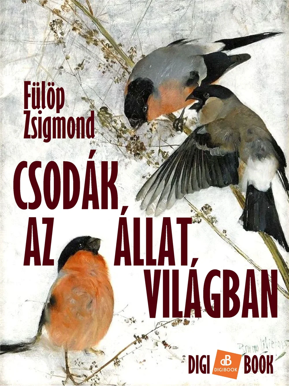A hangoskönyv borítója