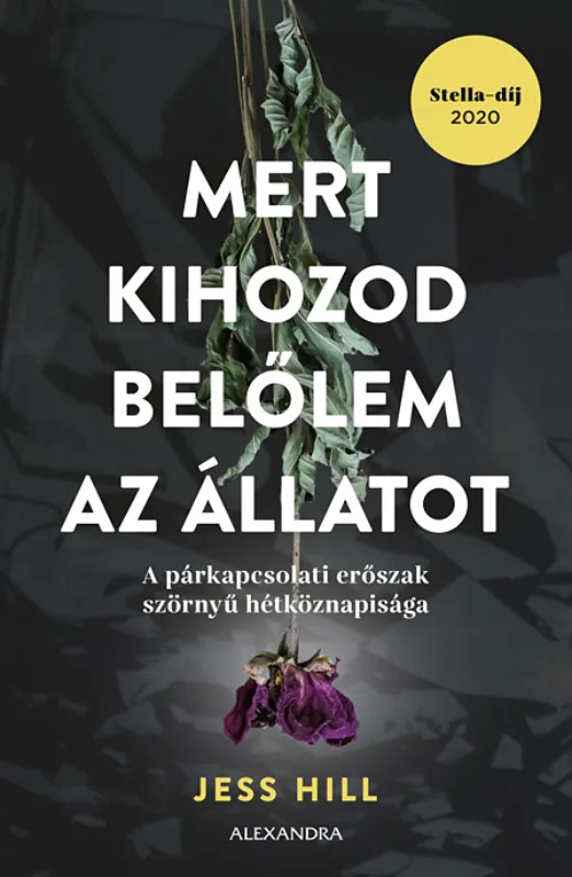 A hangoskönyv borítója