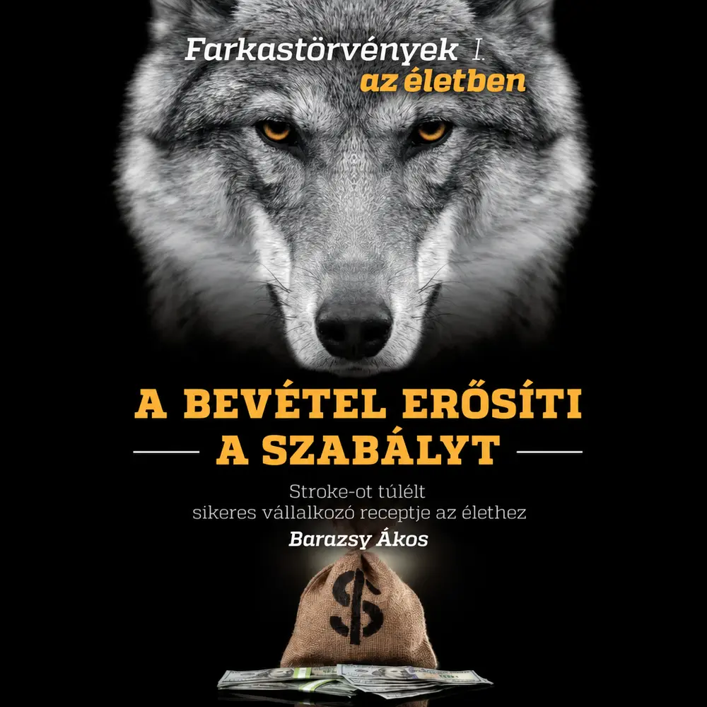 A bevétel erősíti a szabályt - 1. rész - Hangoskönyv