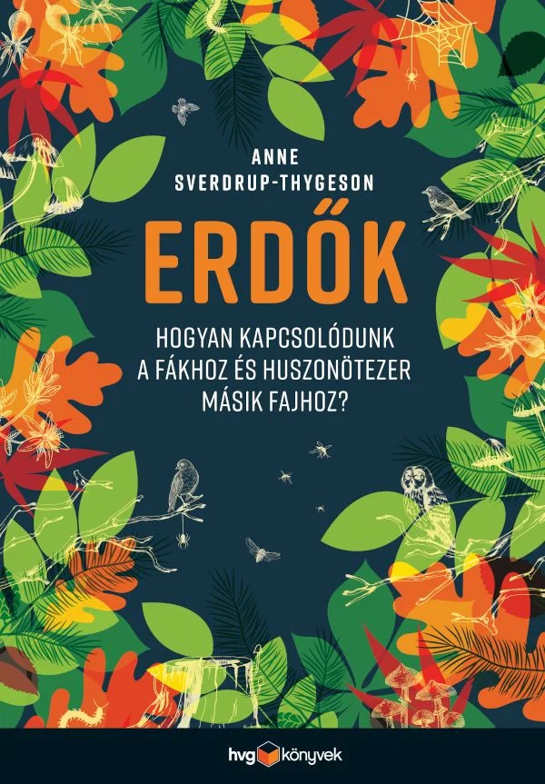 A hangoskönyv borítója